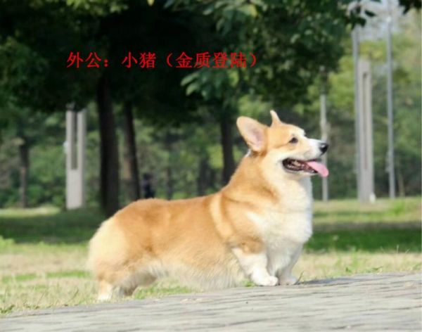 QQ图片20171118091551.jpg