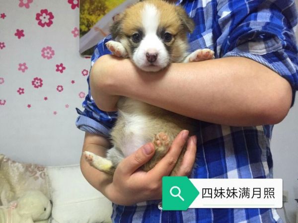 QQ图片20171118091450_副本.jpg