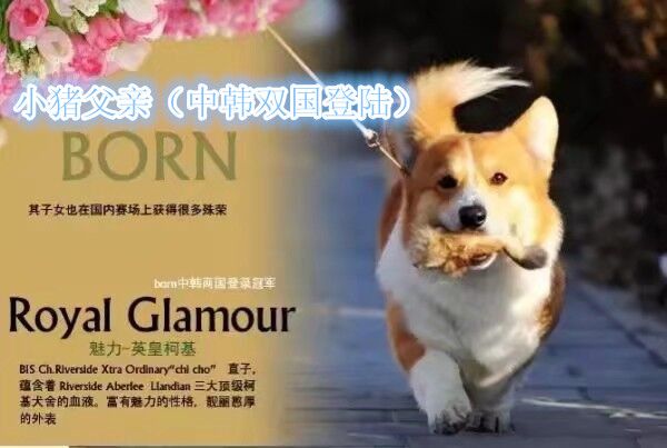 QQ图片20171118091537_副本_副本.jpg
