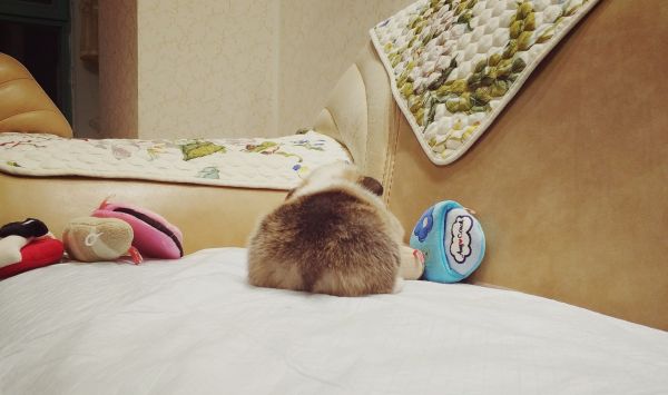 屁屁.jpg