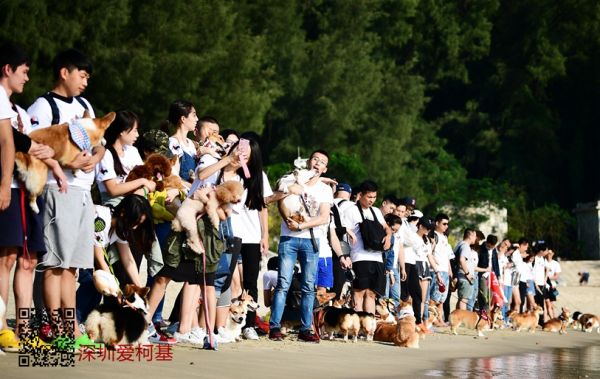 柯基聚会 (138).jpg