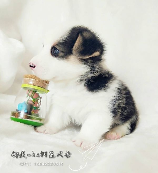 微信图片_20171120144008.jpg