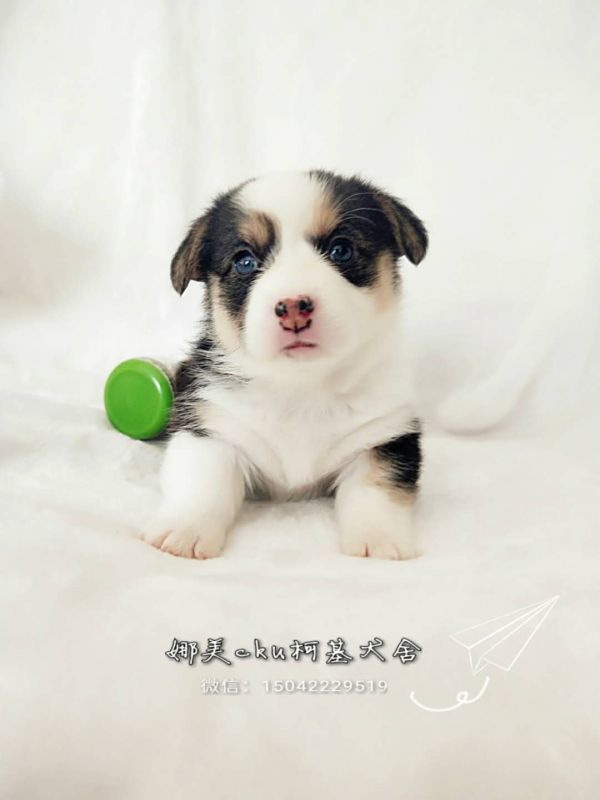 微信图片_20171120144052.jpg