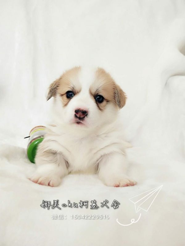 微信图片_20171120144056.jpg