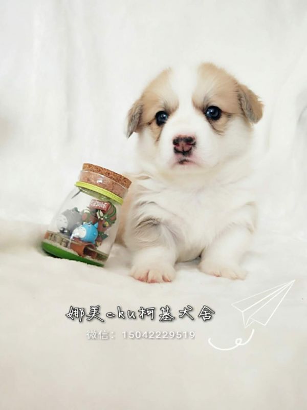 微信图片_20171120144058.jpg