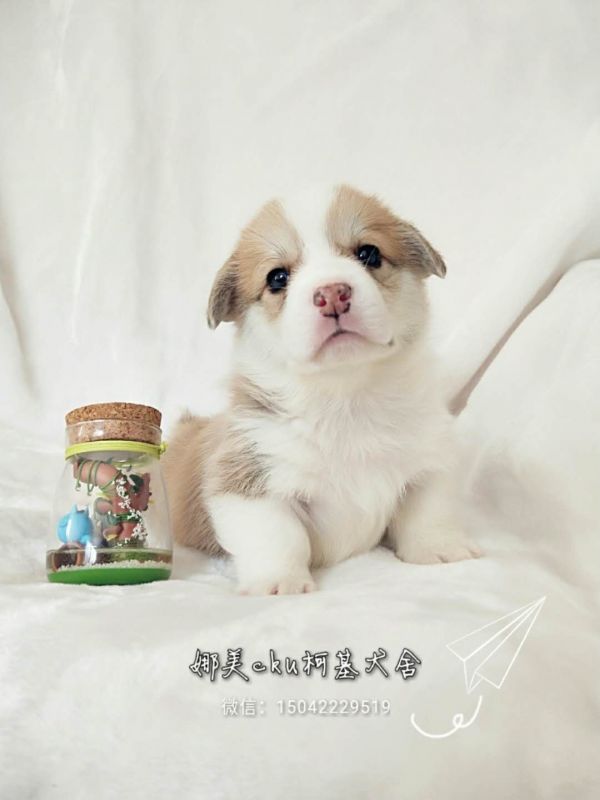 微信图片_20171120144111.jpg