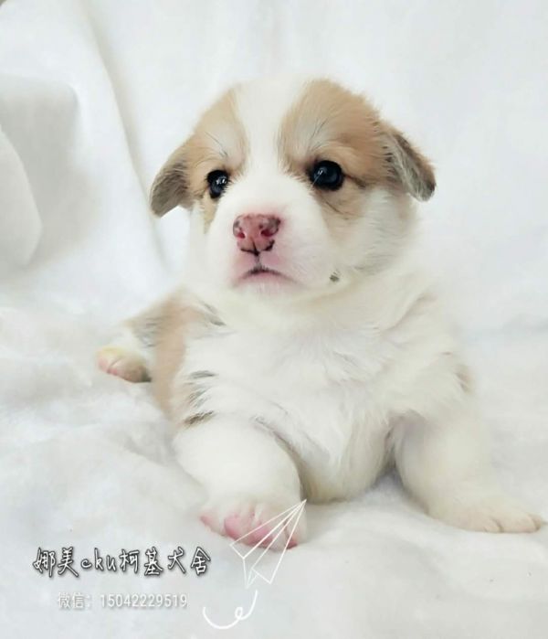 微信图片_20171120144113.jpg