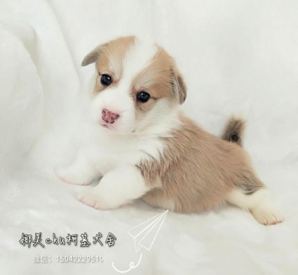 微信图片_20171120144116.jpg