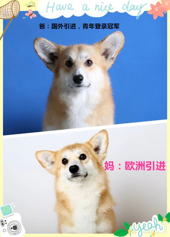 psb_副本1.jpg