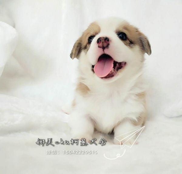 微信图片_20171120144103.jpg