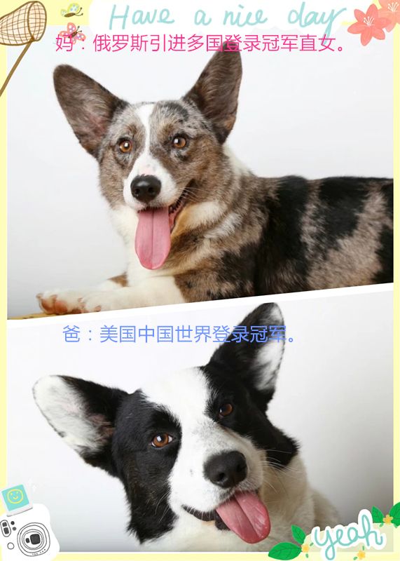 initpintu_副本11.jpg