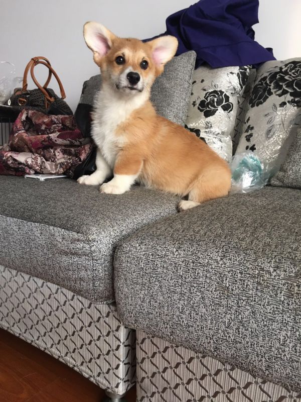 微信图片_20171122140850.jpg