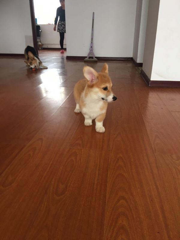 微信图片_20171122140900.jpg