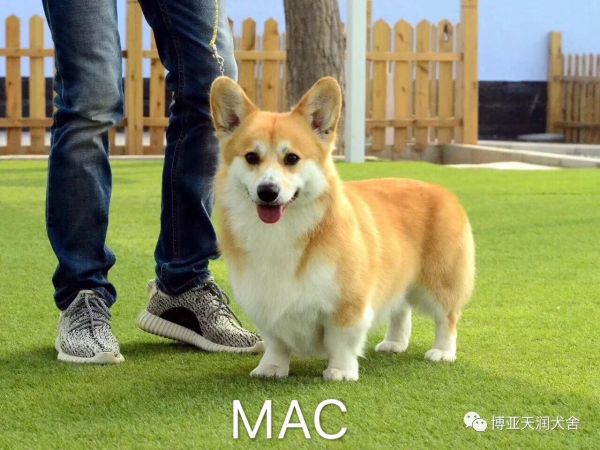 微信图片_20171126150640.jpg