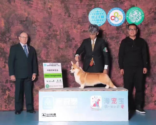 樱桃爸爸