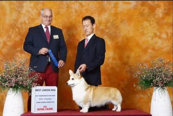 樱桃爷爷