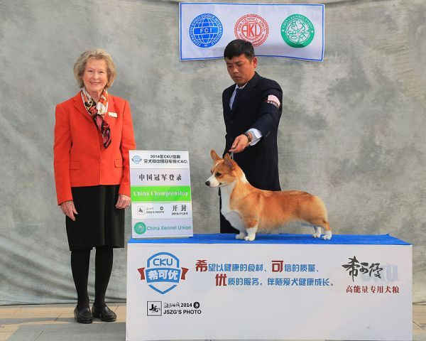 哈瑞爸爸