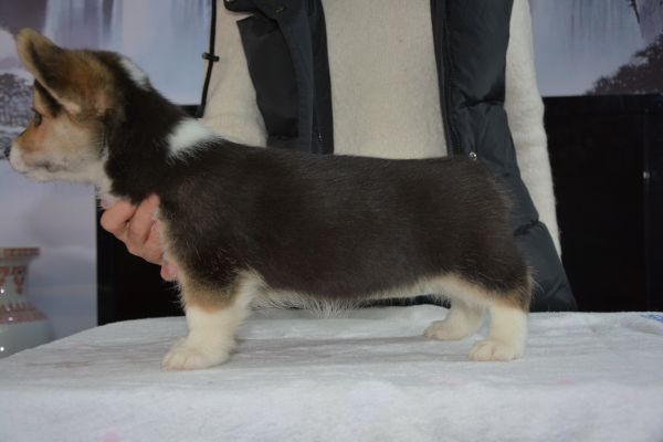 1MM侧身2.jpg