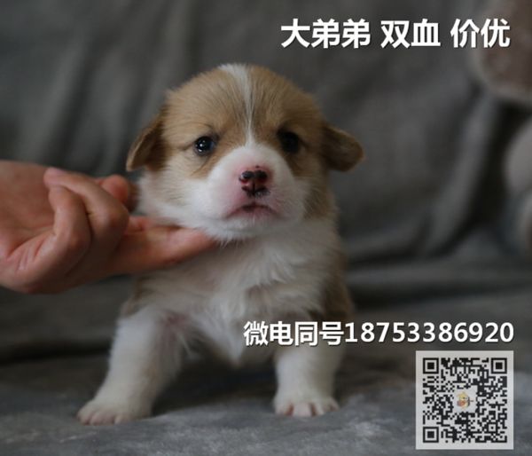 老大.jpg