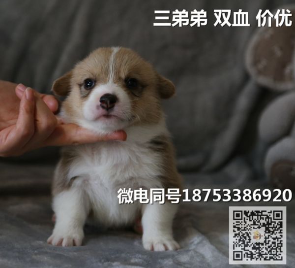 老三.jpg