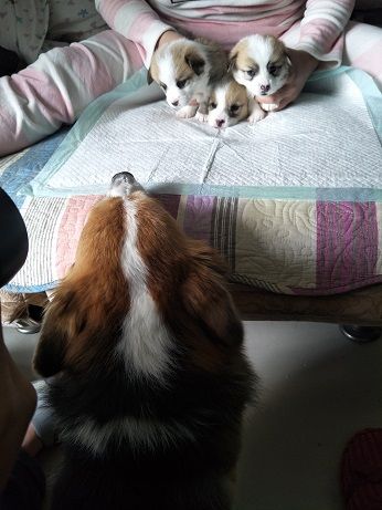 IMG20171128141719.jpg