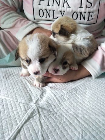 IMG20171128141756.jpg