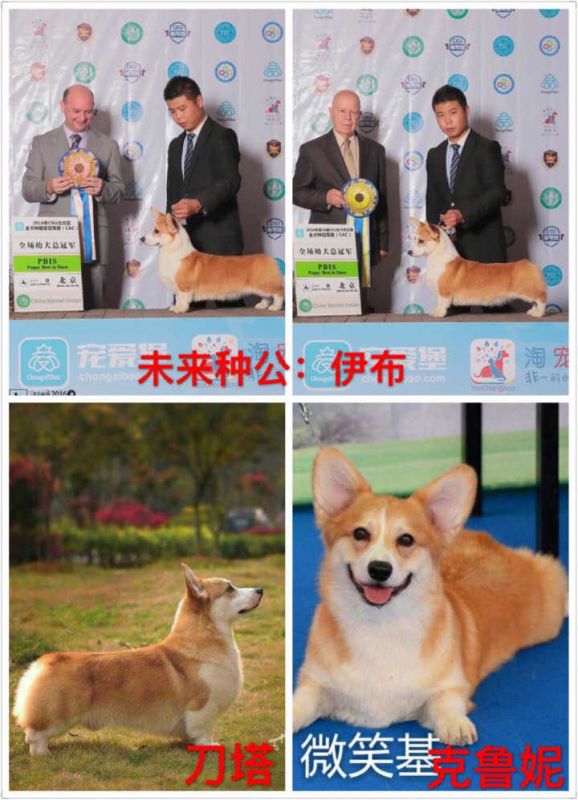 1FC095FF-2BD7-4A9A-AE34-600368D88295.jpeg