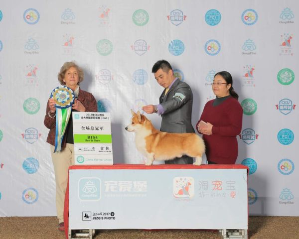 3D60C73A-2018-4FC8-969A-BF6A98F15844-200-0000012C21D299E6_tmp.jpg