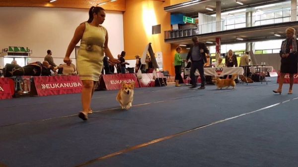mmexport1503541933160.jpg