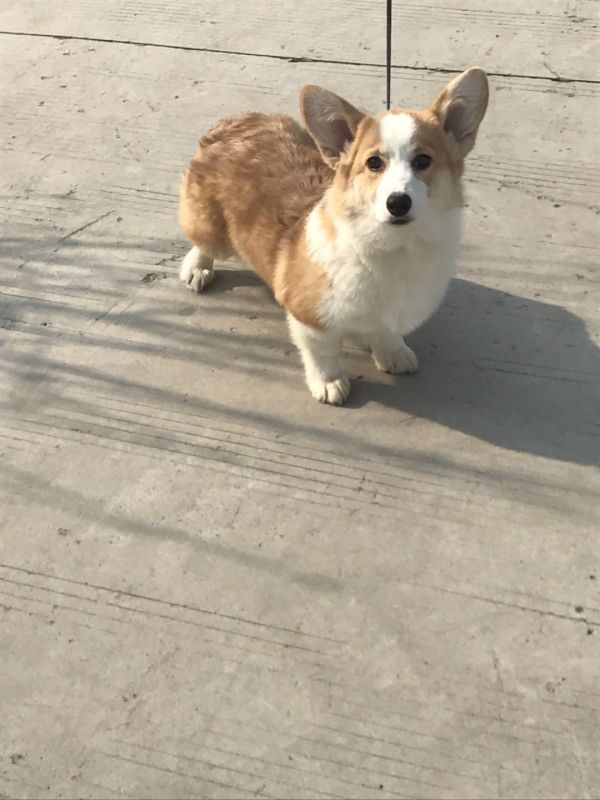 微信图片_20171202131913.jpg