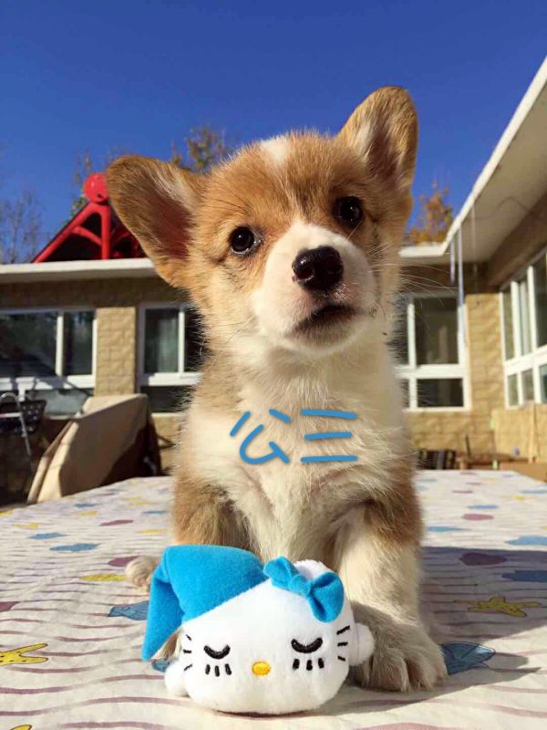 1663757762.jpg