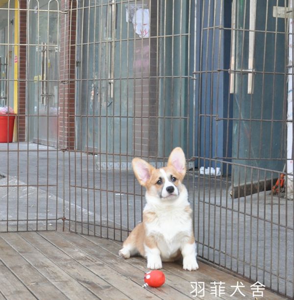 IMG_4044_副本.jpg