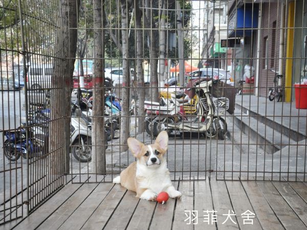 IMG_4045_副本.jpg