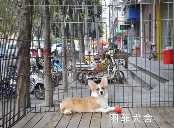 IMG_4048_副本.jpg