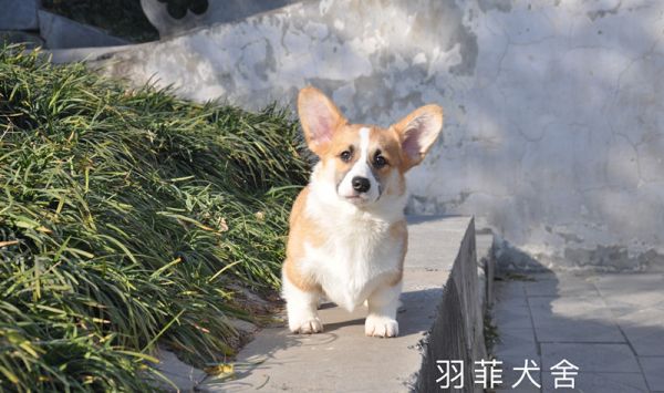 IMG_4151_副本.jpg