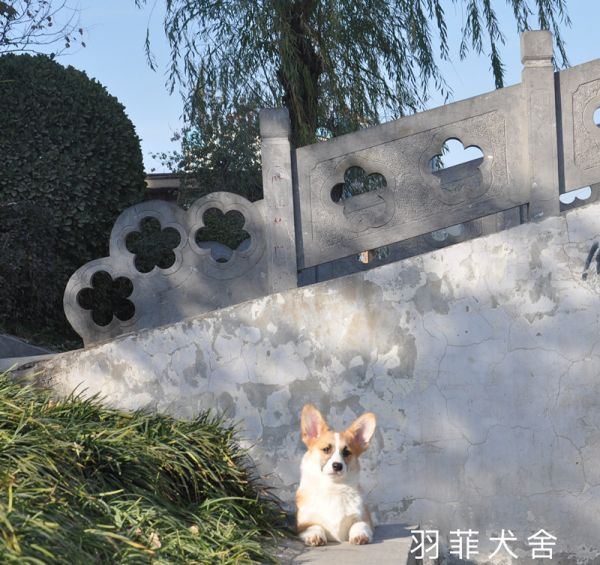 IMG_4152_副本.jpg