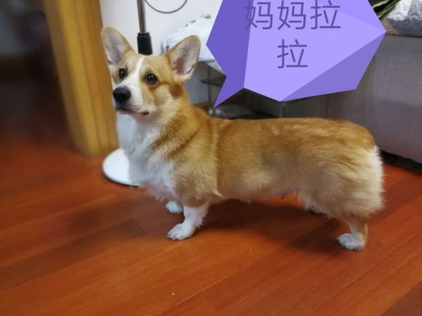 麻麻.jpg