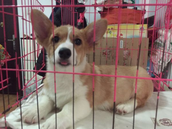 微信图片_20171207000420.jpg