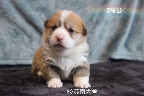 IMG_6701_副本.jpg