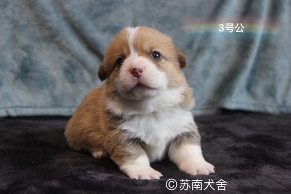 IMG_6702_副本.jpg