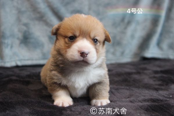 IMG_6703_副本.jpg