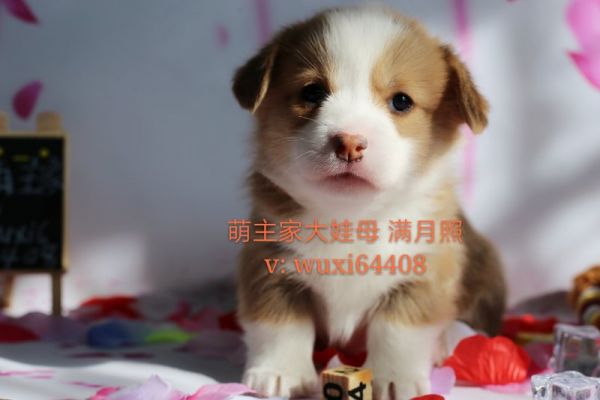 cocoIMG_6751.JPG