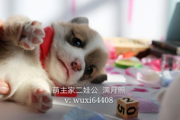 cocoIMG_6753.JPG