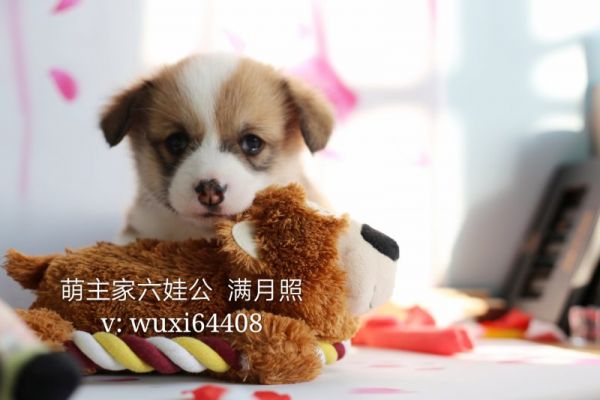 cocoIMG_6759.JPG