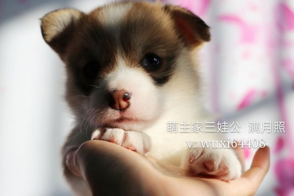 cocoIMG_6755.JPG