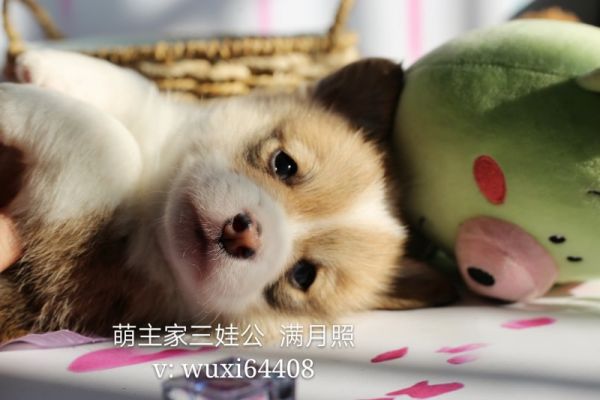 cocoIMG_6756.JPG