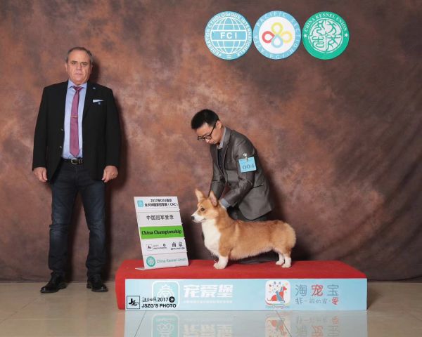微信图片_20171209184737.jpg