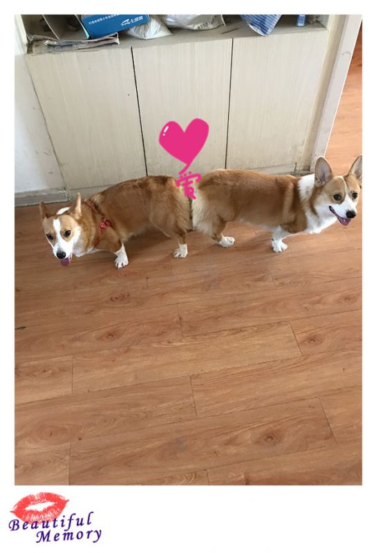 ♥粑粑麻麻相亲相爱♥