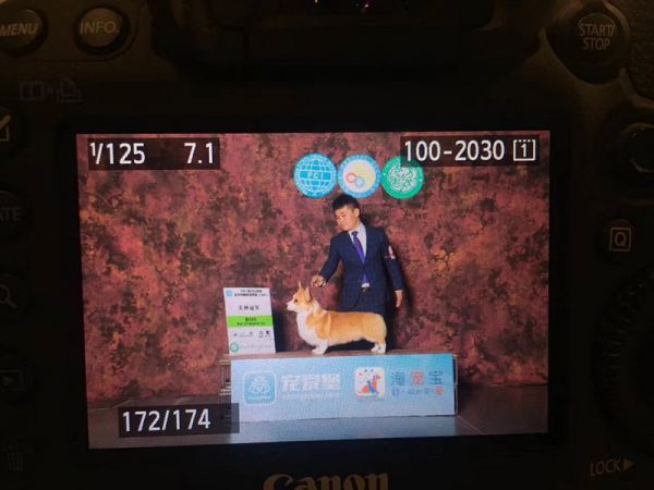 粑粑赛场风采
