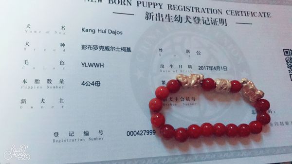 QQ图片20171206133254.jpg